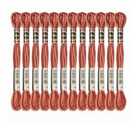 PATIKIL 12 Skeins Embroidery Floss, Polyester Embroidery Threads Bracelets String for Cross-Stitch Hand Embroidery, Brown Red