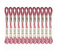 PATIKIL 12 Skeins Embroidery Floss, Polyester Embroidery Threads Bracelets String for Cross-Stitch Hand Embroidery, Red Pink