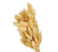 PATIKIL 15.7in Bunny Tails Dried Flowers, 120pcs Pampas Grass Decor Rabbit Tail Natural Pampas Grass Bulk Fluffy Faux Pampas Grass Dried for Home Boho Decor Vase Wedding Table, Beige