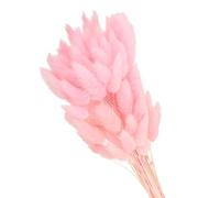 PATIKIL 15.7in Bunny Tails Dried Flowers, 150pcs Rabbit Tail Natural Fluffy Faux Dried for Home Boho Decor Vase Wedding, Pink