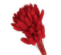 PATIKIL 15.7in Bunny Tails Dried Flowers, 150pcs Rabbit Tail Natural Fluffy Faux Dried for Home Boho Decor Vase Wedding, Red