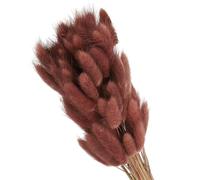 PATIKIL 15.7in Bunny Tails Dried Flowers, 70pcs Rabbit Tail Natural Fluffy Faux Dried for Home Boho Decor Vase Wedding, Brown Red