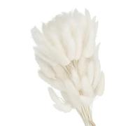 PATIKIL 15.7in Bunny Tails Dried Flowers, 70pcs Rabbit Tail Natural Fluffy Faux Dried for Home Boho Decor Vase Wedding, White