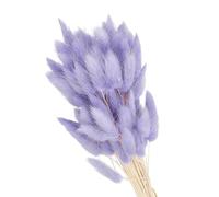 PATIKIL 15.7in Bunny Tails Dried Pampas Grass Decor, 80pcs Natural Purple Lagurus Ovatus for Home Boho Decor Vase Wedding Table
