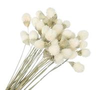 PATIKIL 16 Inch Dried Flowers for Vase, 30 Pcs Mini Pine Ball Flowers Natural Bouquet Bulk Fall Dried Pine Ball Naturally for Home Wedding Bridal Decor Party, White