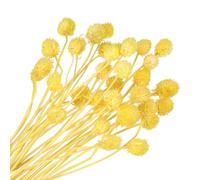 PATIKIL 16 Inch Dried Flowers for Vase, 30 Pcs Mini Pine Ball Flowers Natural Bouquet Bulk Fall Dried Pine Ball Naturally for Home Wedding Bridal Decor Party, Yellow(Stem)