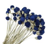 PATIKIL 16 Inch Dried Flowers for Vase, 60 Pcs Mini Pine Ball Flowers Natural Bouquet Bulk Fall Dried Pine Ball Naturally for Home Wedding Bridal Decor Party, Navy Blue