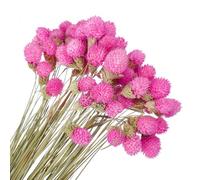 PATIKIL 16 Inch Dried Flowers for Vase, 60 Pcs Mini Pine Ball Flowers Natural Bouquet Bulk Fall Dried Pine Ball Naturally for Home Wedding Bridal Decor Party, Rose Red