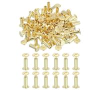 PATIKIL 18mm Chicago Screws Leather Rivets, 60 Set Leather Rivets Nail Stud Screws Bolt Assorted Kit for DIY Leather Craft Bookbinding Decorate Repair Belt Bag Clothing, Gold Tone