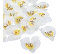 PATIKIL 2.8" Artificial Orchid Flower Heads, 20 Pack Silk Phalaenopsis Fake Butterfly Orchid Heads for Wedding Floral Bouquet Decor DIY Craft Making, White