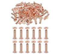 PATIKIL 20.5mm Chicago Screws Leather Rivets, 60 Set Leather Rivets Nail Stud Screws Bolt Assorted Kit for DIY Leather Craft Bookbinding Decorate Repair Belt Bag Clothing, Rose Gold
