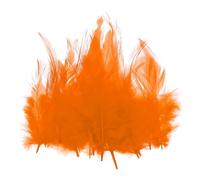 PATIKIL 3-5 Inch Rooster Feathers, 200 Pack Bulk Natural Feathers for Crafts Colorful Fluffy Craft Feathers for Dream Catcher Handwork Clothing Costumes Wedding, Orange