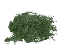 PATIKIL 3.5 OZ Fake Moss, Preserved Reindeer Moss Artificial Lichen Centerpieces Decor Faux Moss for Potted Plants Christmas Craft, Teal