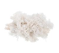 PATIKIL 3.5 OZ Fake Moss, Preserved Reindeer Moss Artificial Moss Lichen Centerpieces Decor Faux Moss for Potted Plants Christmas Craft, White