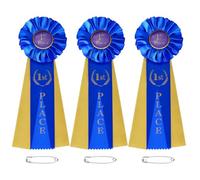 PATIKIL 3 Pcs Award Ribbons, 1st Place Winner Recognition Ribbon Prize Ribbons Satin Participation Medal Ribbons for Competition Sports Event, Blue