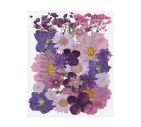 PATIKIL 30 Pcs Dried Pressed Flower Leaves Bulk, Nature Dry Flowers for DIY Floral Resin Crafts Art Scrapbooking Jewelry Nail Soap Candles Decor Making, Forest Series Dark Purple
