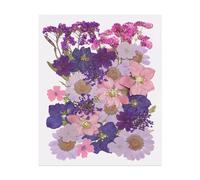 PATIKIL 35 Pcs Dried Pressed Flower Leaves Bulk, Nature Dry Flowers for DIY Floral Resin Crafts Art Scrapbooking Jewelry Nail Soap Candles Decor Making, Purple Pink