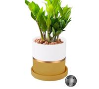 PATIKIL 4.3 Inch Ceramic Plant Pots, Modern Flower Planters with Drainage Holes for Decorate Home Indoor Plants Succulent Herb, Yellow