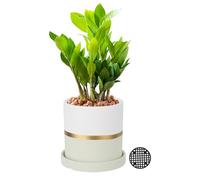 PATIKIL 4.3 Inch Ceramic Plant Pots, Modern Flower Planters with Drainage Holes for Decorate Home Indoor Plants Succulent Herb, Beige