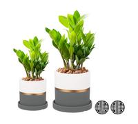 PATIKIL 4"/6" Ceramic Plant Pots, 2 Pack Modern Flower Planters with Drainage Holes for Decorate Home Indoor Plants Succulent Herb, Grey