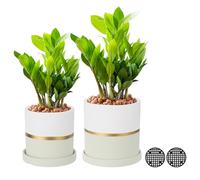 PATIKIL 4"/6" Ceramic Plant Pots, 2 Pack Modern Flower Planters with Drainage Holes for Decorate Home Indoor Plants Succulent Herb, Beige