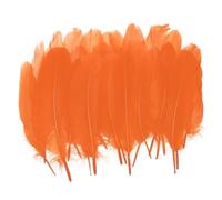 PATIKIL 4-6" Natural Goose Feathers Bulk for Crafts, 300 Pack Long Assorted Colors Feathers Decor for DIY Dream Catchers, Hats, Garland, Vase Supplies Adults Crafting, Orange