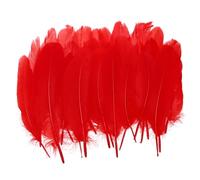 PATIKIL 4-6" Natural Goose Feathers Bulk for Crafts, 300 Pack Long Assorted Colors Feathers Decor for DIY Dream Catchers, Hats, Garland, Vase Supplies Adults Crafting, Red