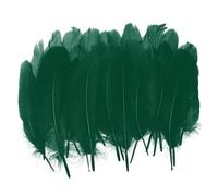 PATIKIL 4-6" Natural Goose Feathers Bulk for Crafts, 300 Pack Long Assorted Colors Feathers Decor for DIY Dream Catchers, Hats, Garland, Vase Supplies Adults Crafting, Blackish Green