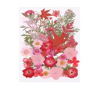 PATIKIL 48 Pcs Dried Pressed Flower Leaves Bulk, Nature Dry Flowers for DIY Floral Resin Crafts Art Scrapbooking Jewelry Nail Soap Candles Decor Making, Pink Colors