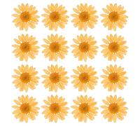 PATIKIL 48 Pcs Dried Pressed Flower Natural Dried Daisy Flower for DIY Art Crafts House Decoration Nails Decoration,Orange