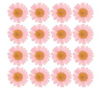 PATIKIL 48 Pcs Dried Pressed Flower Natural Dried Daisy Flower for DIY Art Crafts House Decoration Nails Decoration,Pink