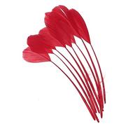 PATIKIL 6-8 Inch Goose Feathers, 100 Pack Bulk Natural Feathers for Crafts Carnival Handwork Clothing Costumes Wedding Party Style 4, Red