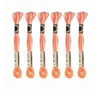 PATIKIL 6 Skeins Embroidery Floss, Gradient Colors Polyester Embroidery Threads Bracelets String for Cross-Stitch Hand Embroidery, Coral Red