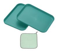 PATIKIL 7.9x5.9 Plastic Tray, 2 Pack Rectangular Plates Small Food Tray Wheat Plates Dishes Reusable Dessert Plate Trays with Cloth for Cake Fruits Salad Cupcake Steak Serving Dark Green