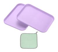PATIKIL 7.9x5.9 Plastic Tray, 2 Pack Rectangular Plates Small Food Tray Wheat Plates Dishes Reusable Dessert Plate Trays with Cloth for Cake Fruits Salad Cupcake Steak Serving Purple