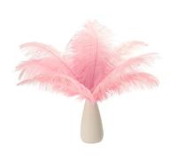 PATIKIL 8-10 Inch(20-25cm) Ostrich Feathers, 30 Pack Artificial Ostrich Feathers Bulk for Wedding Party Centerpieces Decorations Crafts Light Pink (6inch Width)