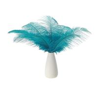 PATIKIL 8-10 Inch(20-25cm) Ostrich Feathers, 30 Pack Artificial Ostrich Feathers Bulk for Wedding Party Centerpieces Decorations Crafts Blue Green (5inch Width)