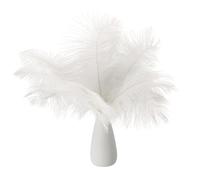 PATIKIL 8-10 Inch(20-25cm) Ostrich Feathers, 30 Pack Artificial Ostrich Feathers Bulk for Wedding Party Centerpieces Decorations Crafts White (6inch Width)