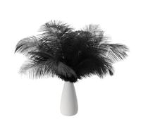 PATIKIL 8-10 Inch(20-25cm) Ostrich Feathers, 30 Pack Artificial Ostrich Feathers Bulk for Wedding Party Centerpieces Decorations Crafts Black (6inch Width)