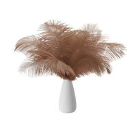 PATIKIL 8-10 Inch(20-25cm) Ostrich Feathers, 30 Pack Artificial Ostrich Feathers Bulk for Wedding Party Centerpieces Decorations Crafts Brown (5inch Width)