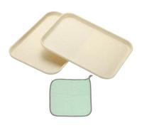 PATIKIL 9.5x6.9 Plastic Tray, 2 Pack Rectangular Plates Small Food Tray Wheat Plates Dishes Reusable Dessert Plate Trays with Cloth for Cake Fruits Salad Cupcake Steak Serving Beige