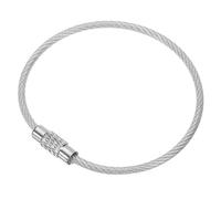 PATIKIL 9.8" Wire Keychain Cable, 25 Pcs Stainless Steel Key Ring Cable Large Key Ring Keychain Loop Luggage Tags Loops for Hanging Luggage Tags, Keyrings, Cards, Transparent