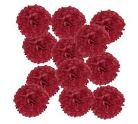 PATIKIL 9.84 x 9.84 Inch Paper Pom Poms, 12 Pcs Paper Flower Ball Kit for Birthday Bachelorette Wedding Shower Bridal Party Decoration DIY Art Craft Decor Christmas, Rust Red