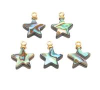 PATIKIL Abalone Shell Charm, 5 Pcs Star Paua Shell Pendant 10mm Sea Abalone Shell Decorations for Necklace DIY Ocean Jewelry Making, Mix Colors