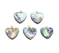 PATIKIL Abalone Shell Heart Charm, 5 Pcs Mix Colors, 14mm/0.56 inch Width, Heart Shape Paua Shell Pendant for Jewelry Making, DIY Ocean Jewelry, Crafts & Decorations