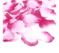 PATIKIL Artificial Rose Petals, 1200Pcs Fake Flowers Silk Petal Decoration Supplies for Romantic Night Wedding Party Event Decor, Fuchsia White