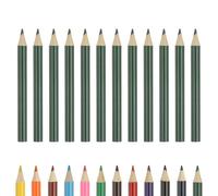 PATIKIL Colored Pencils, Middle Green Color Cute Drawing Pencils with Oil-Based Cores Art Scrapbook Supplies for Adult Coloring Books Artists Beginners Drawing Sketching, 12 Pcs
