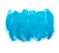 PATIKIL Colorful Feathers 3-5inch, 300pcs Goose Feathers Bulk for Crafts DIY, Wedding Home Party Decorations Dream Catcher, Turquoise