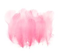 PATIKIL Colorful Feathers 3-5inch, 300pcs Goose Feathers Bulk for Crafts DIY, Wedding Home Party Decorations Dream Catcher, Pink