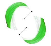 PATIKIL Dance Silk Veil Poi 79" x 32", 1 Pair Women Belly Dance with Streamer Throw Ball for Dance, Green White Gradient